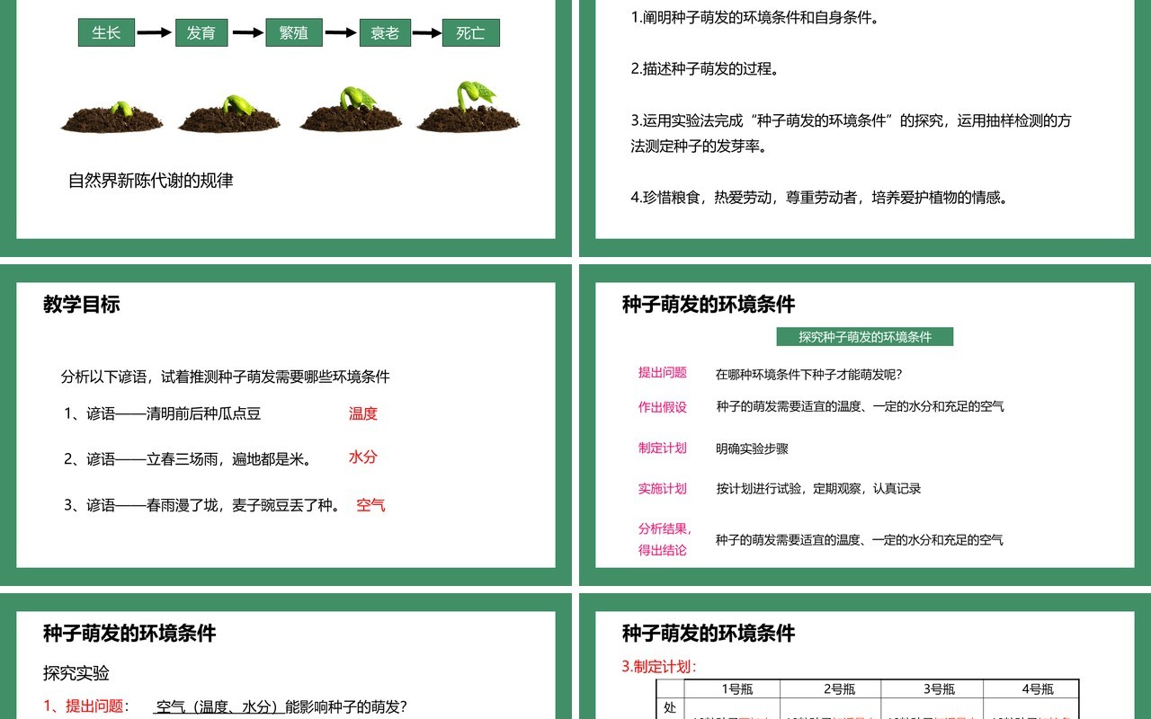 部编版七年级生物上册种子的萌发课件PPT模板
