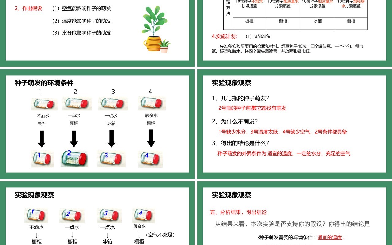 部编版七年级生物上册种子的萌发课件PPT模板