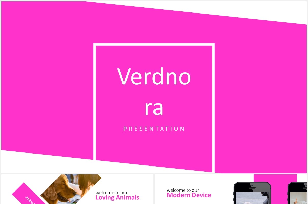 宠物服务机构计划书报告国外PPT模板Verdnora - Powerpoint Template