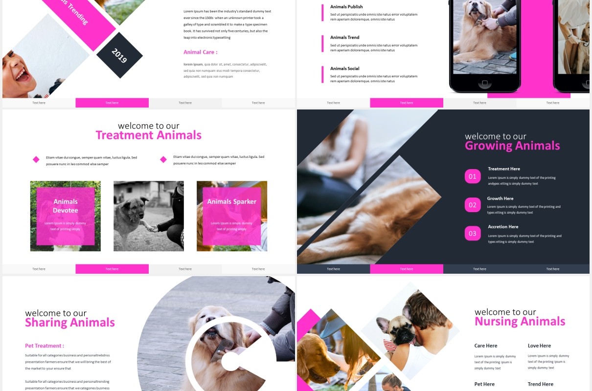 宠物服务机构计划书报告国外PPT模板Verdnora - Powerpoint Template