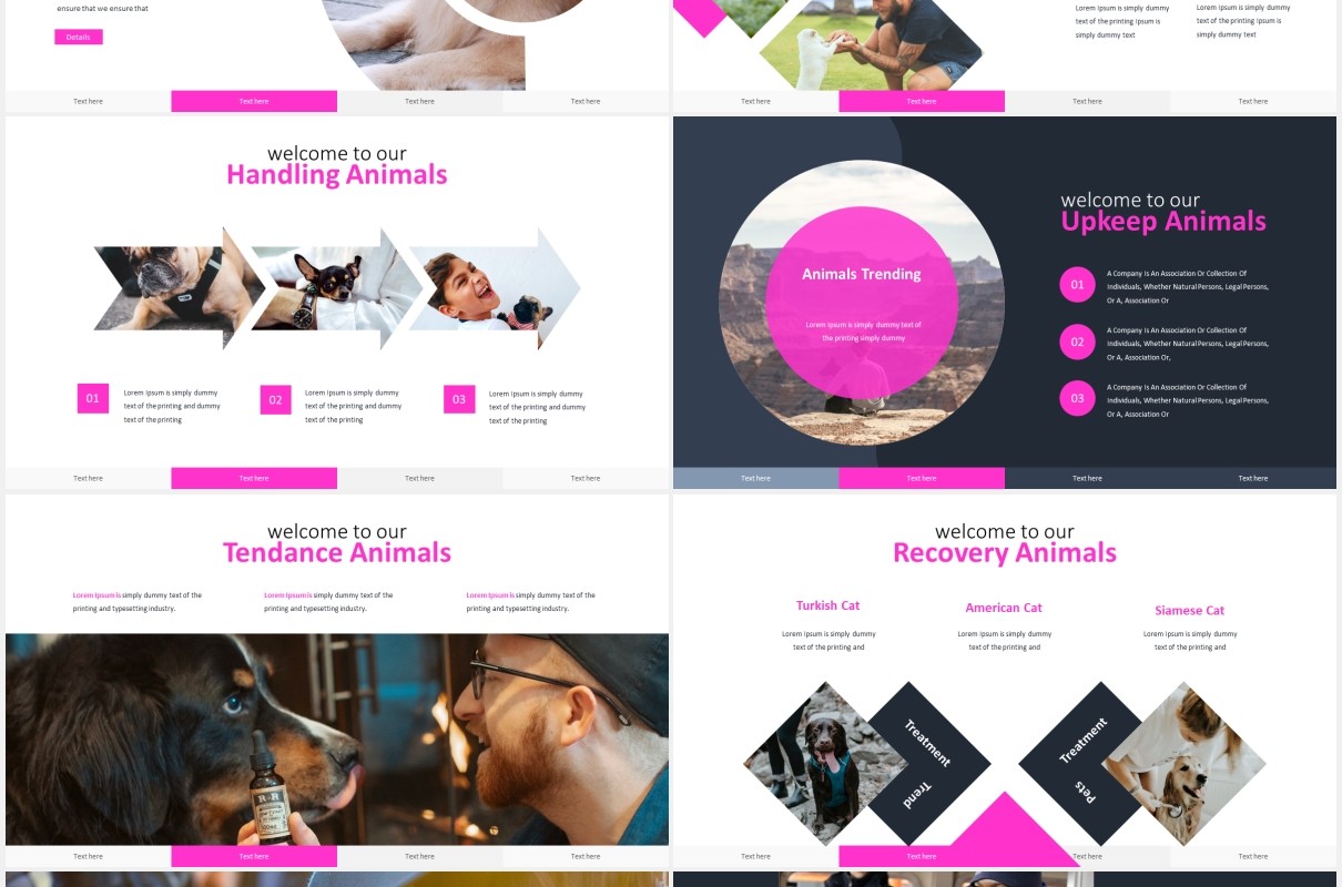 宠物服务机构计划书报告国外PPT模板Verdnora - Powerpoint Template