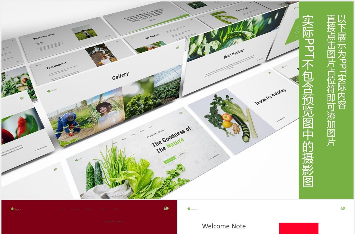 绿色蔬菜图片版式设计PPT模板Vegetables Powerpoint Template