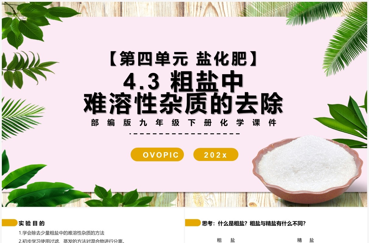 部编版九年级化学下册粗盐中难溶性杂质的去除课件PPT模板