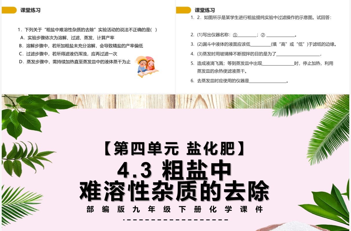 部编版九年级化学下册粗盐中难溶性杂质的去除课件PPT模板
