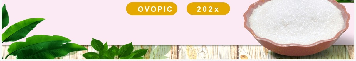部编版九年级化学下册粗盐中难溶性杂质的去除课件PPT模板