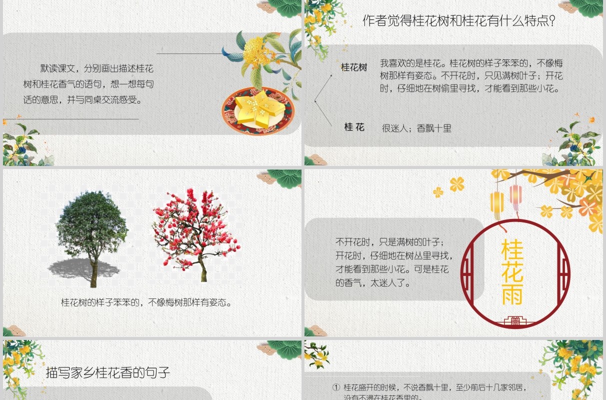 教师说课桂花雨PPT语文课件模板