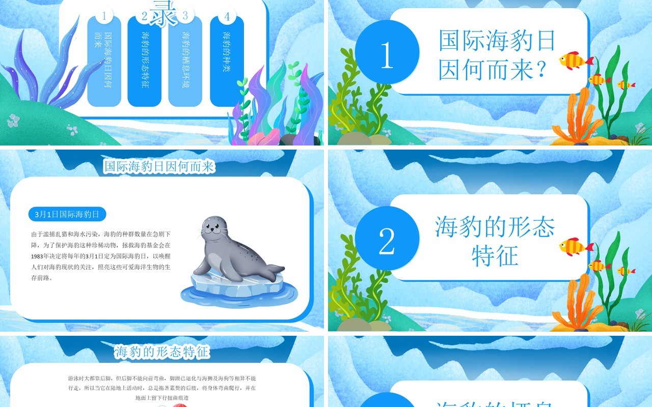 蓝色卡通风国际海豹日PPT模板