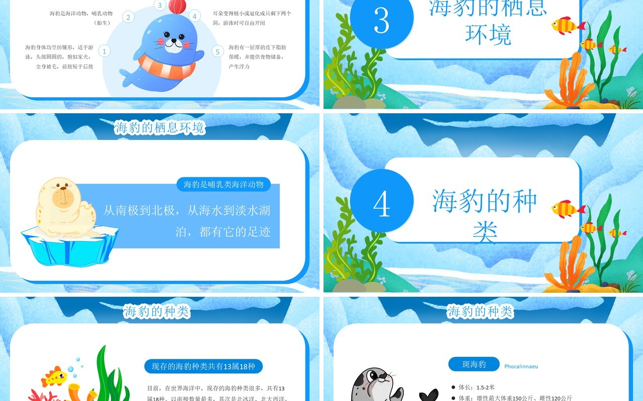 蓝色卡通风国际海豹日PPT模板
