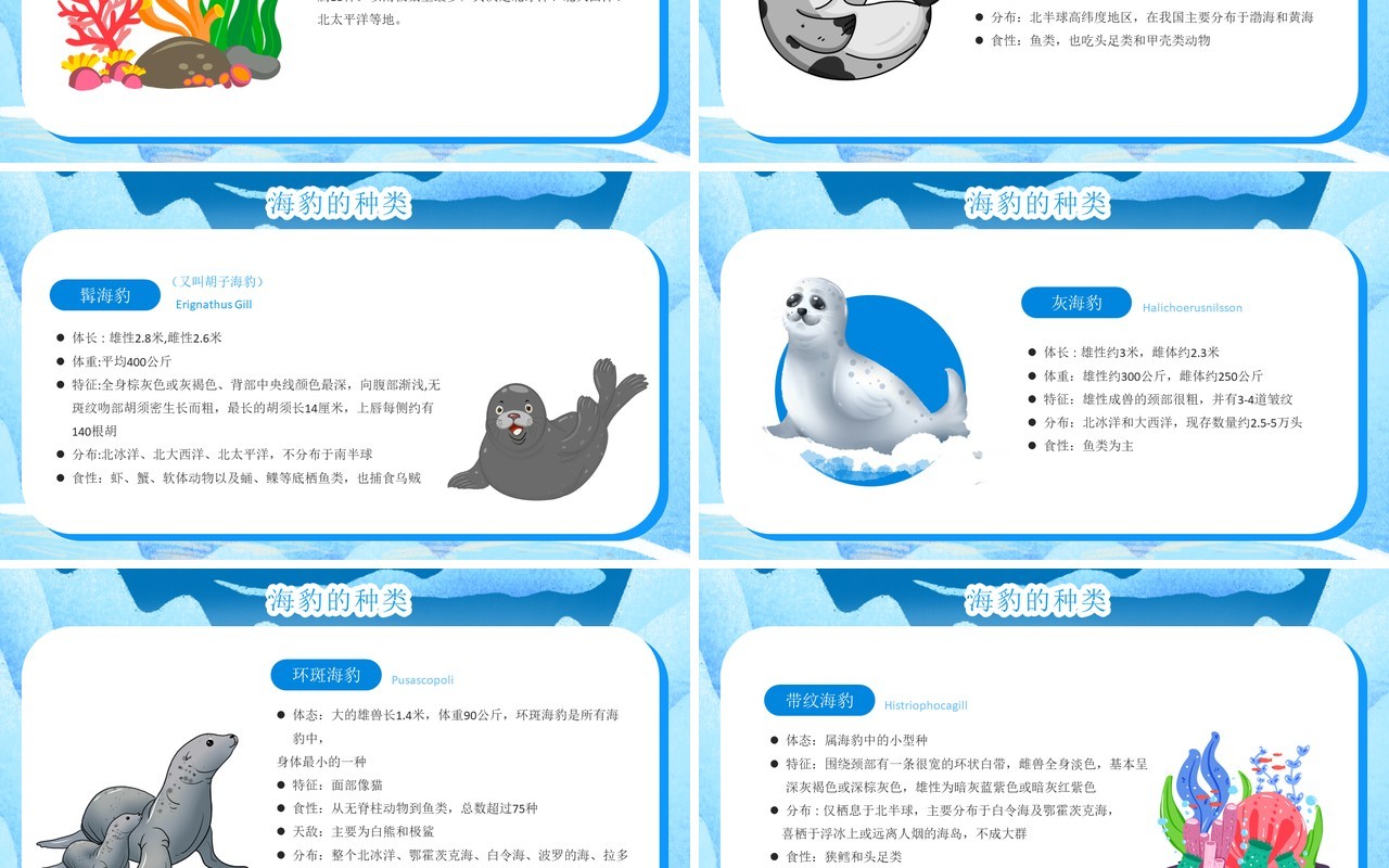 蓝色卡通风国际海豹日PPT模板