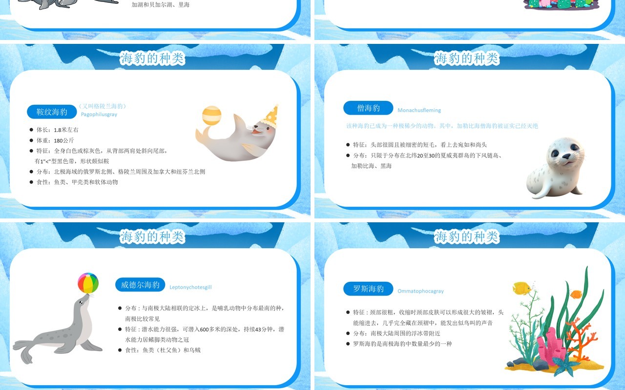 蓝色卡通风国际海豹日PPT模板