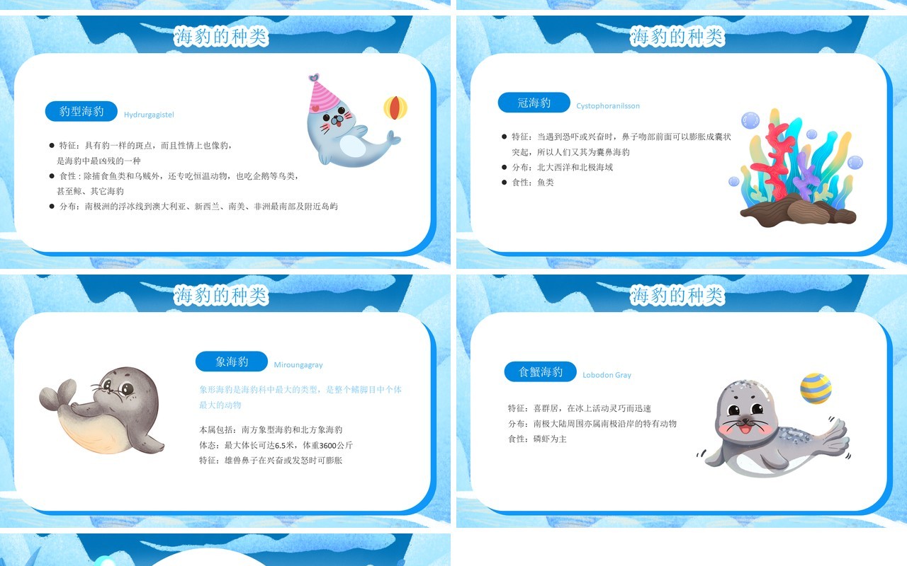 蓝色卡通风国际海豹日PPT模板