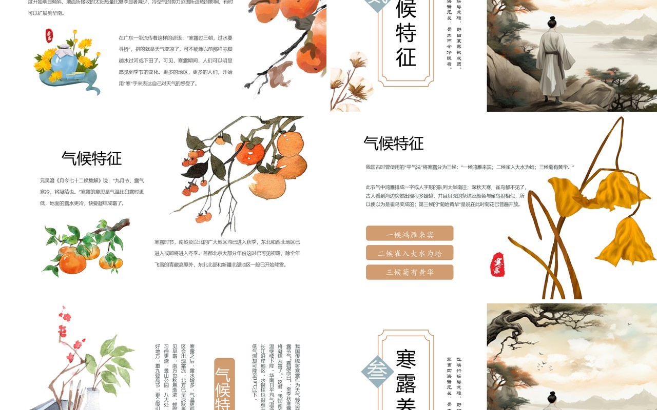 淡雅中国风二十四节气之寒露PPT模板