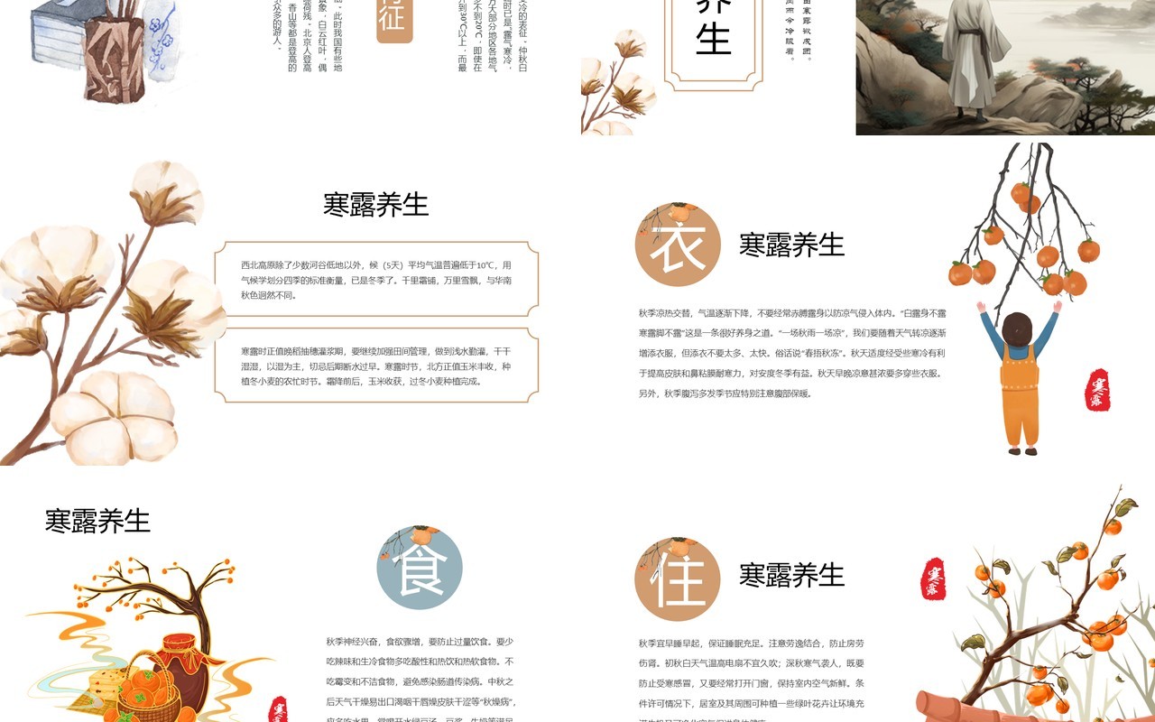 淡雅中国风二十四节气之寒露PPT模板