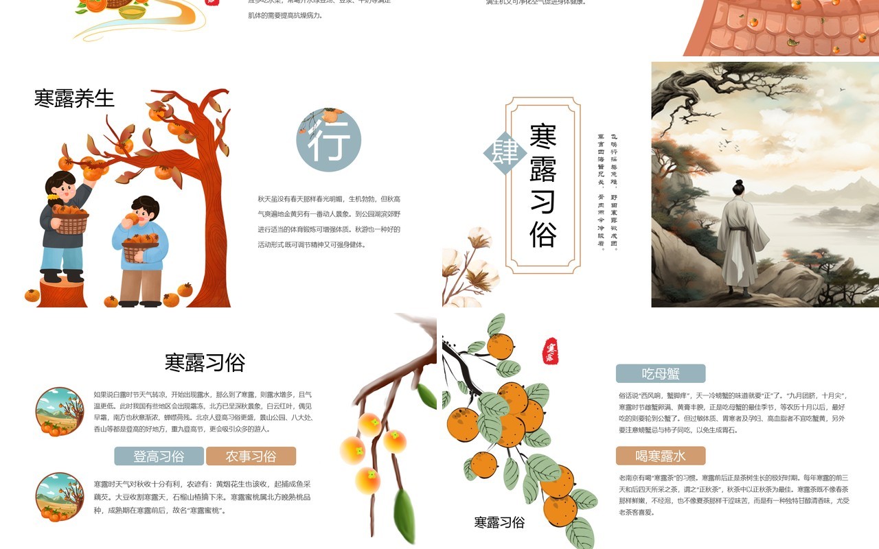 淡雅中国风二十四节气之寒露PPT模板