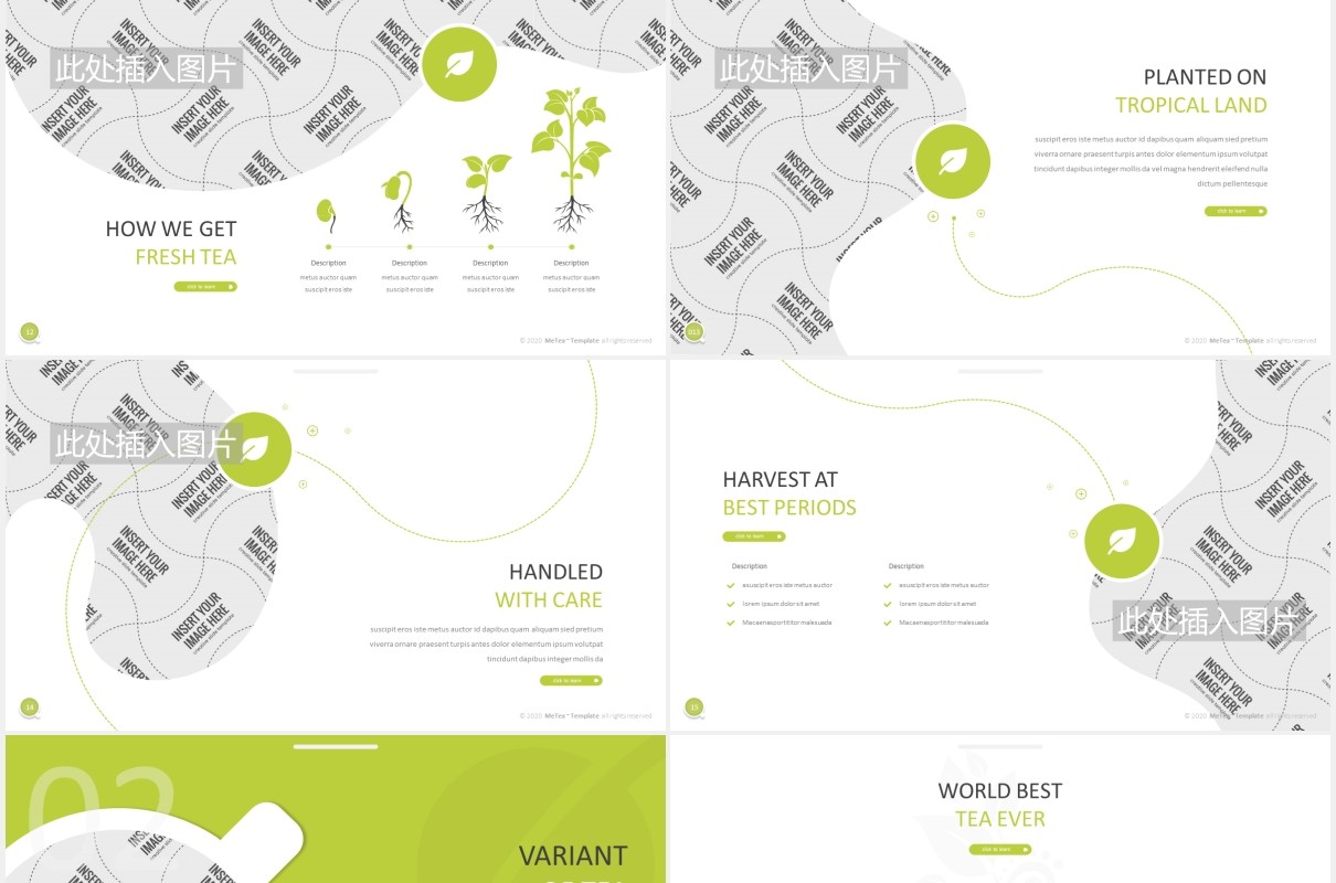 天然农作物绿色植物图片排版设计PPT模板Metea - Plant Powerpoint Template