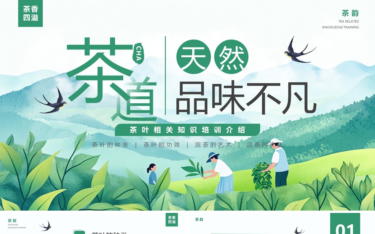 绿色插画风茶叶相关知识介绍PPT模板