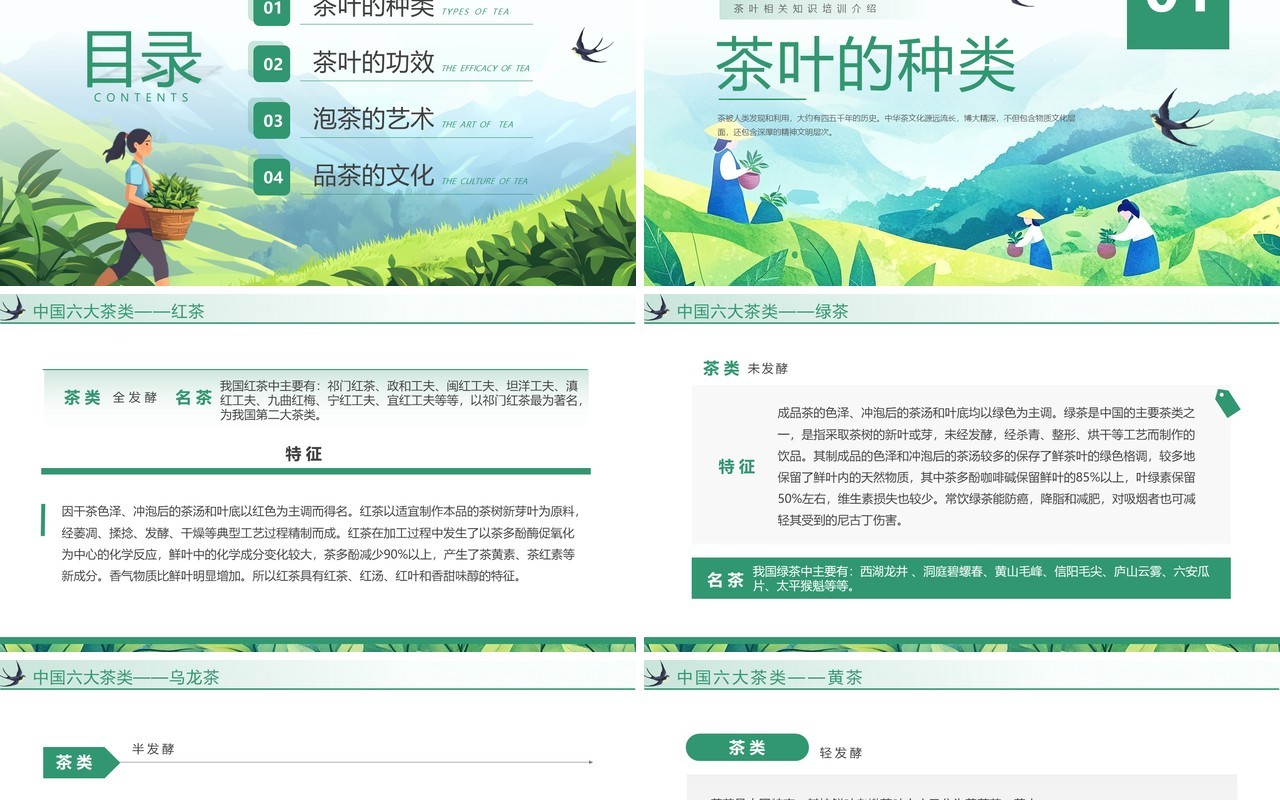绿色插画风茶叶相关知识介绍PPT模板