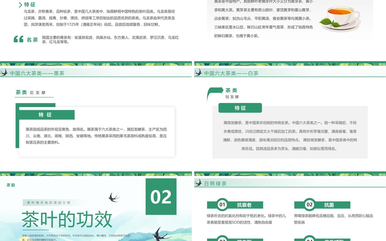 绿色插画风茶叶相关知识介绍PPT模板
