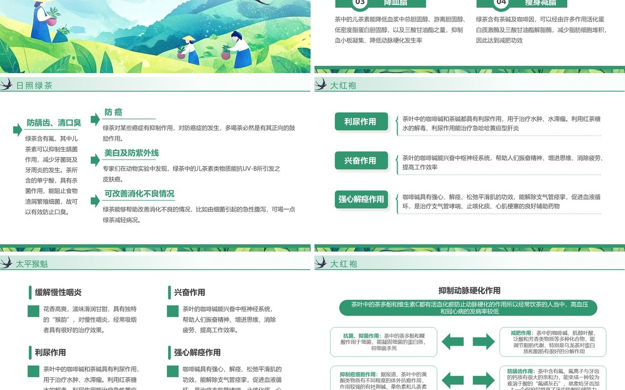 绿色插画风茶叶相关知识介绍PPT模板