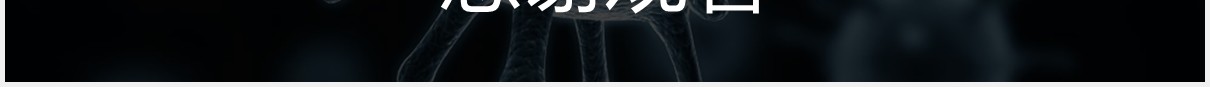 国际禁毒日教育宣传活动PPT模板