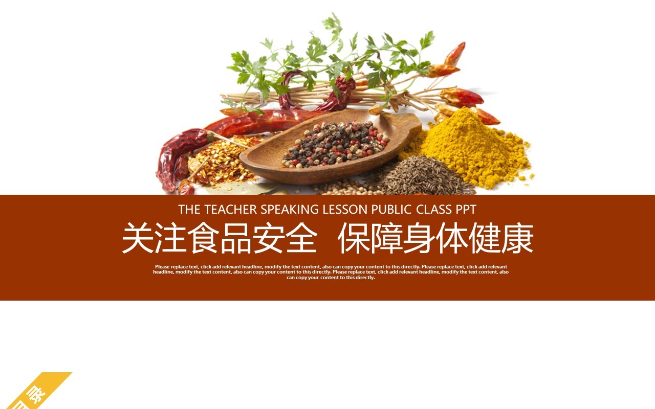 简约食品安全教育PPT模板课件