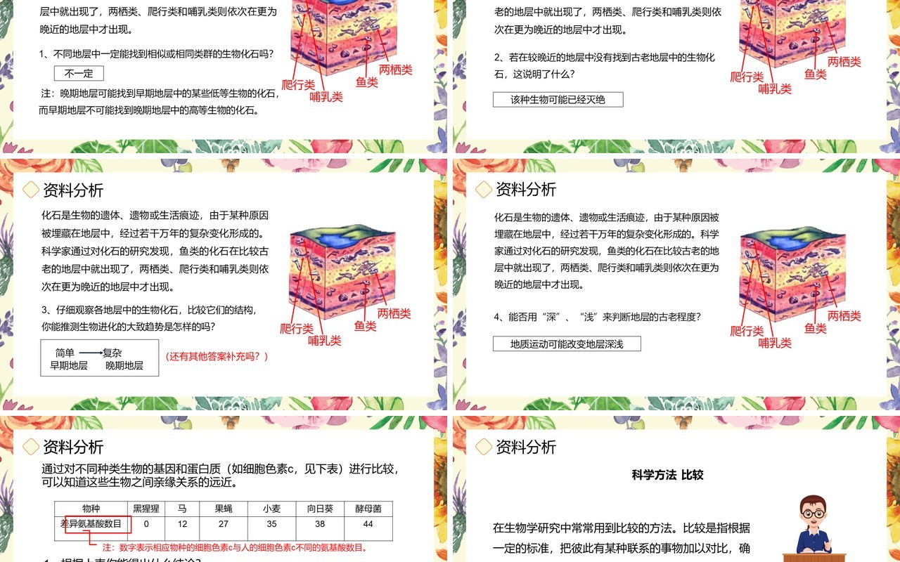 部编版八年级生物下册生物进化的历程课件PPT模板