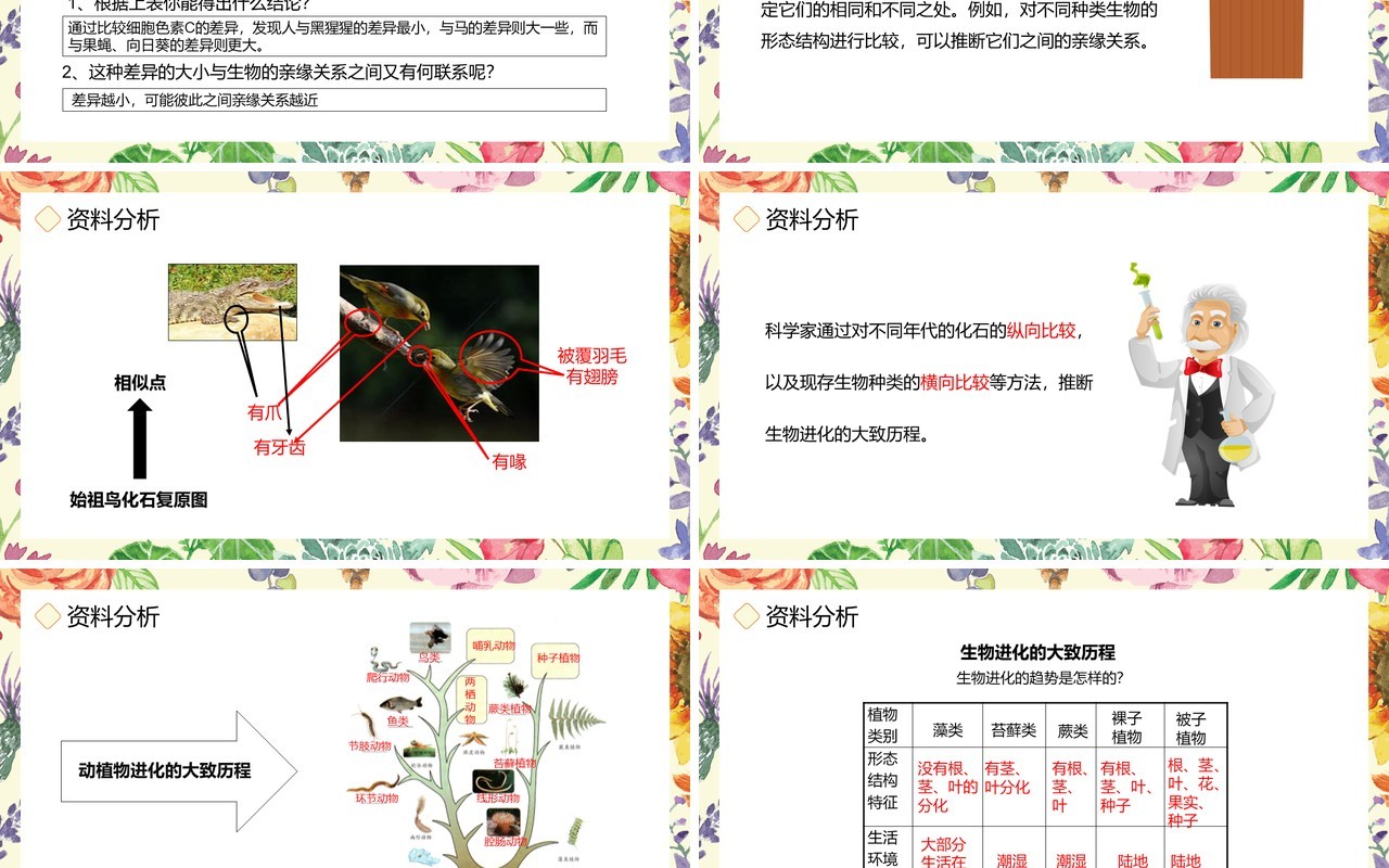 部编版八年级生物下册生物进化的历程课件PPT模板