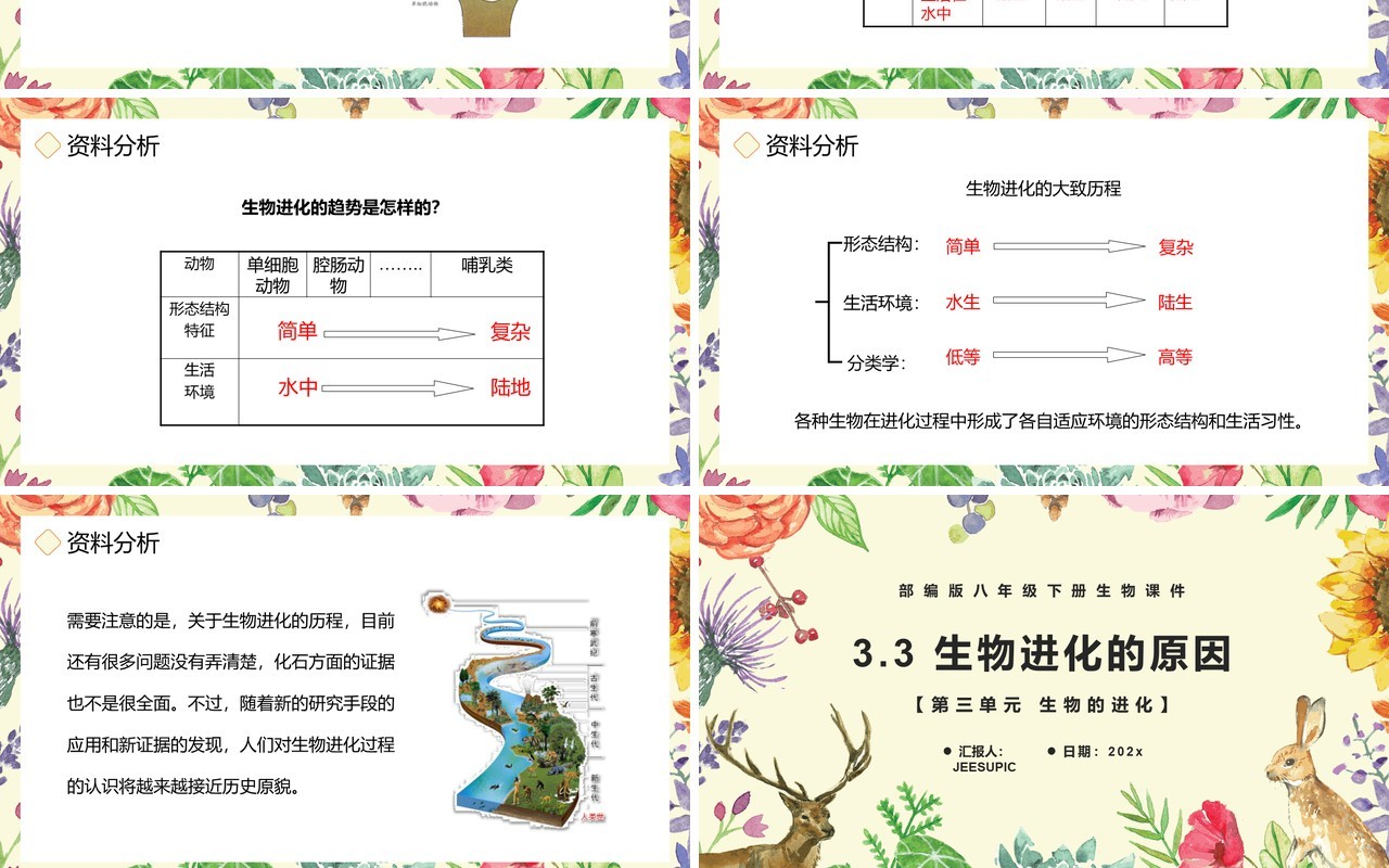 部编版八年级生物下册生物进化的历程课件PPT模板
