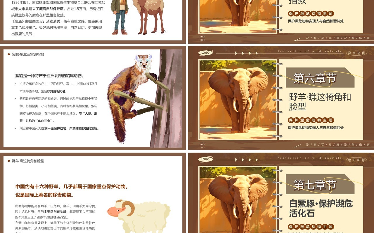 棕色卡通风保护濒危动物主题教育PPT模板