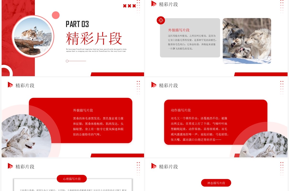 红色商务风狼王梦读书分享PPT模板