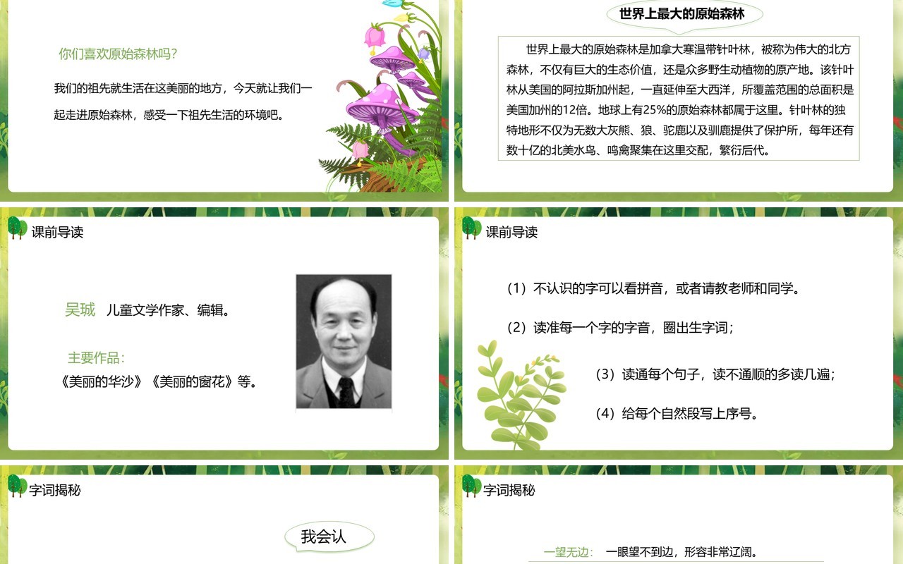 部编版二年级语文下册祖先的摇篮课件PPT模板