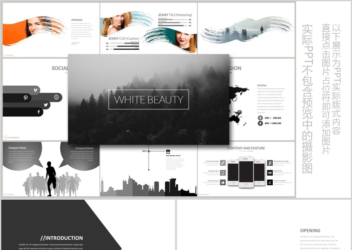 水墨个性产品介绍公司简介汇报PPT模板可插图片WHITE BEAUTY Powerpoint
