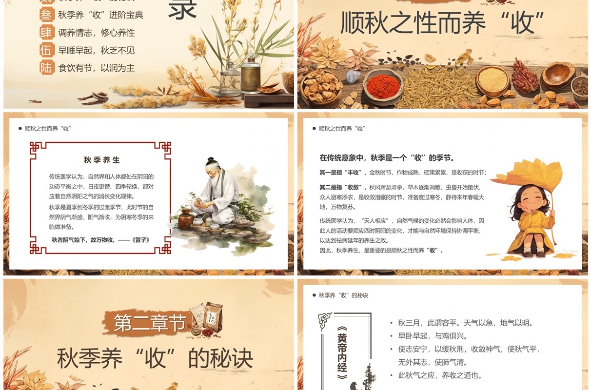 棕色中国风秋季养生宣传PPT模板