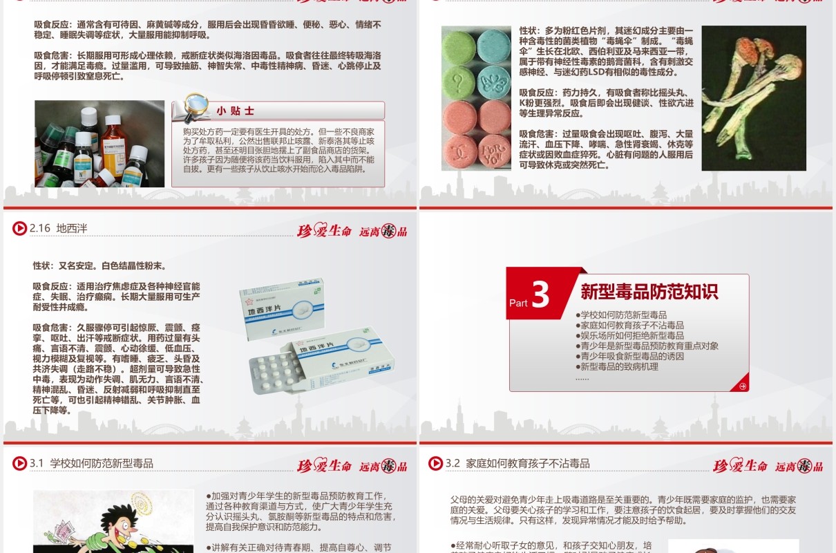 禁毒知识教育宣传课件主题PPT模板