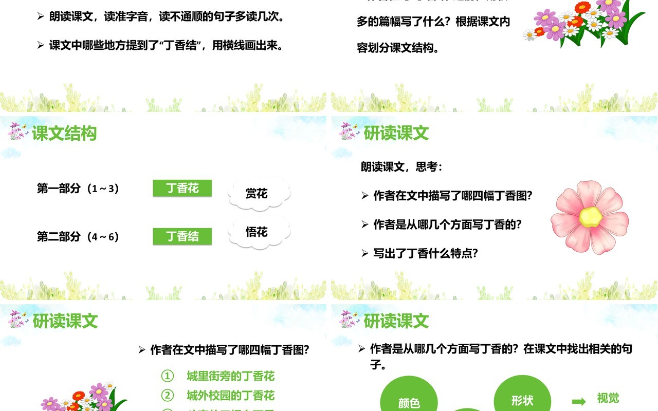部编版六年级语文上册丁香结课件PPT模板
