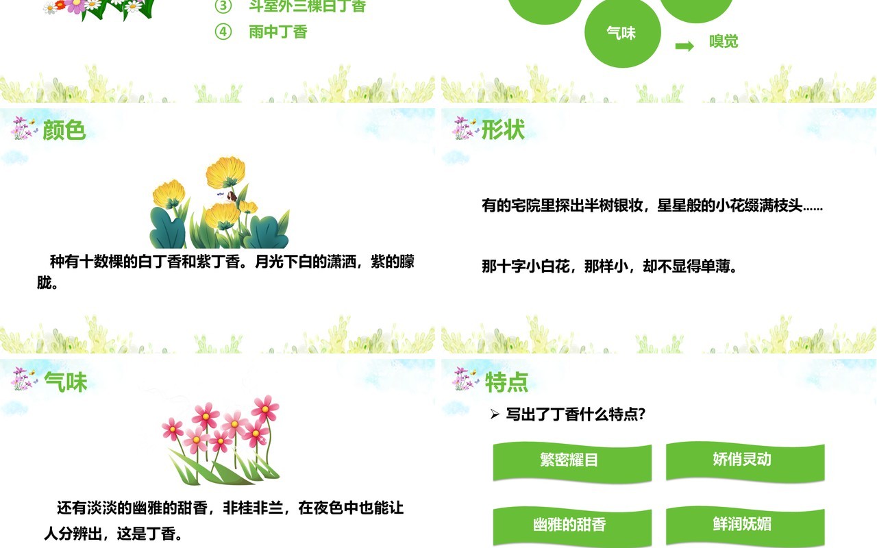 部编版六年级语文上册丁香结课件PPT模板