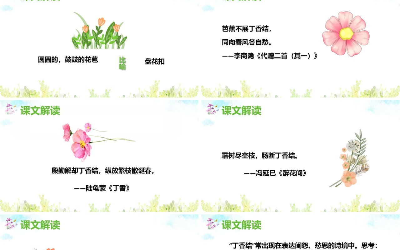 部编版六年级语文上册丁香结课件PPT模板
