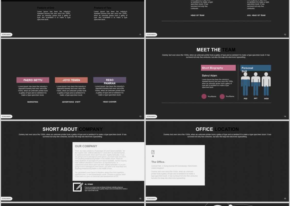 商务PPT信息图表模板Dongwaru Powerpoint