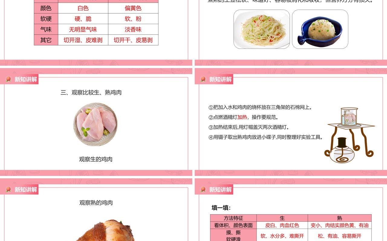 教科版四年级下册生的食物和熟的食物课件PPT模板