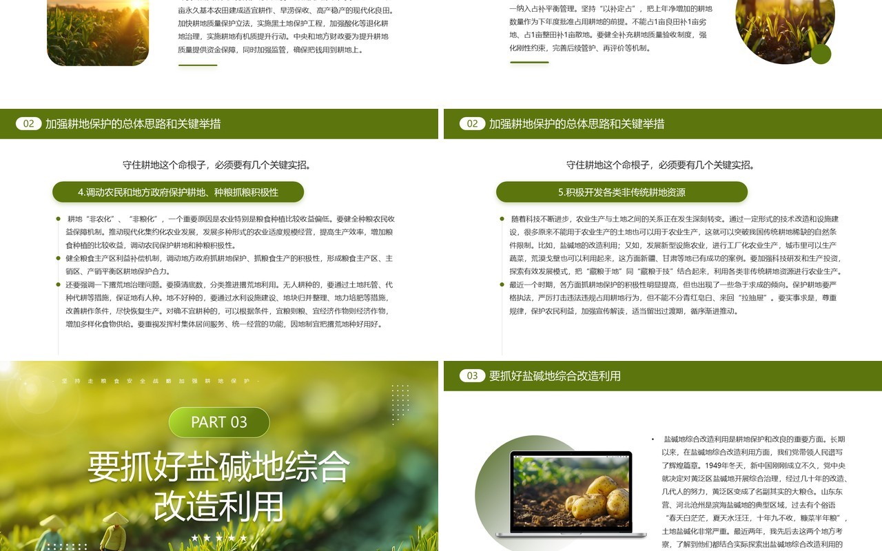 绿色简约风切实加强耕地保护PPT模板