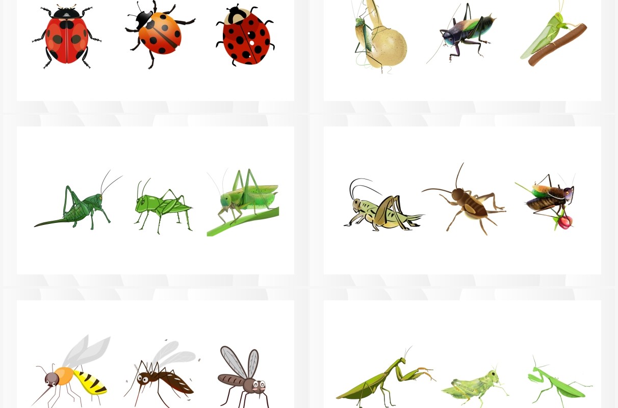 手绘昆虫元素PPT素材合集(1)