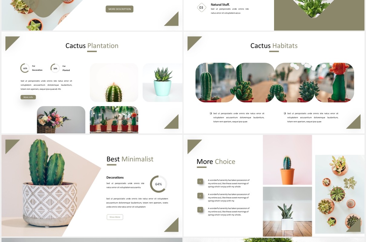 简洁简约绿植照片展示PPT模板castusle powerpoint template