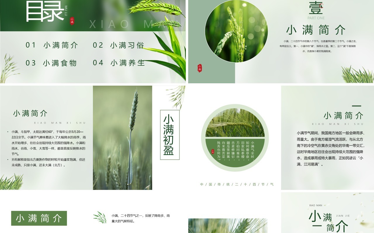 绿色中国风二十四节气之小满PPT模板