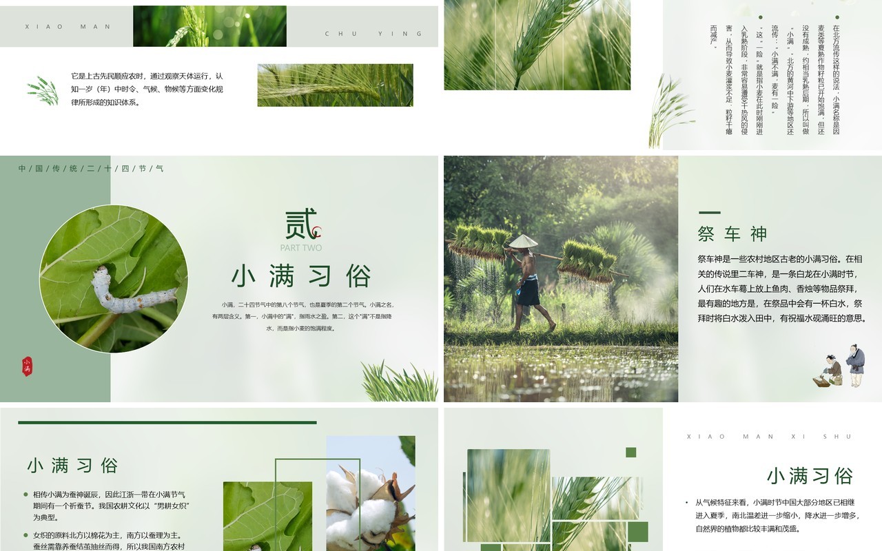 绿色中国风二十四节气之小满PPT模板