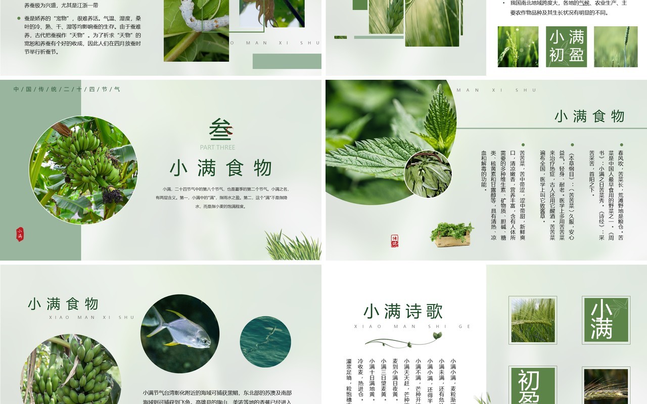 绿色中国风二十四节气之小满PPT模板