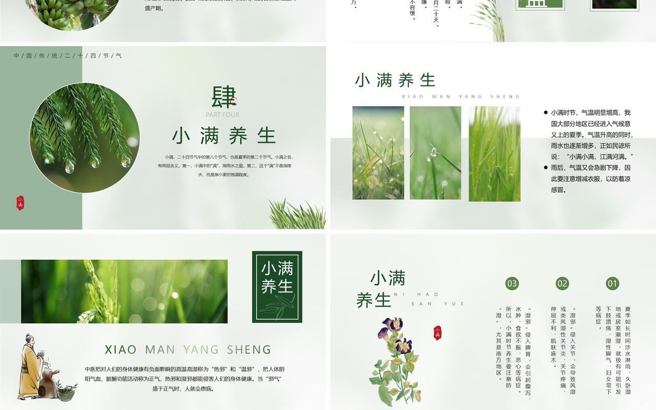 绿色中国风二十四节气之小满PPT模板