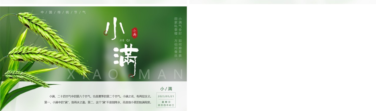 绿色中国风二十四节气之小满PPT模板