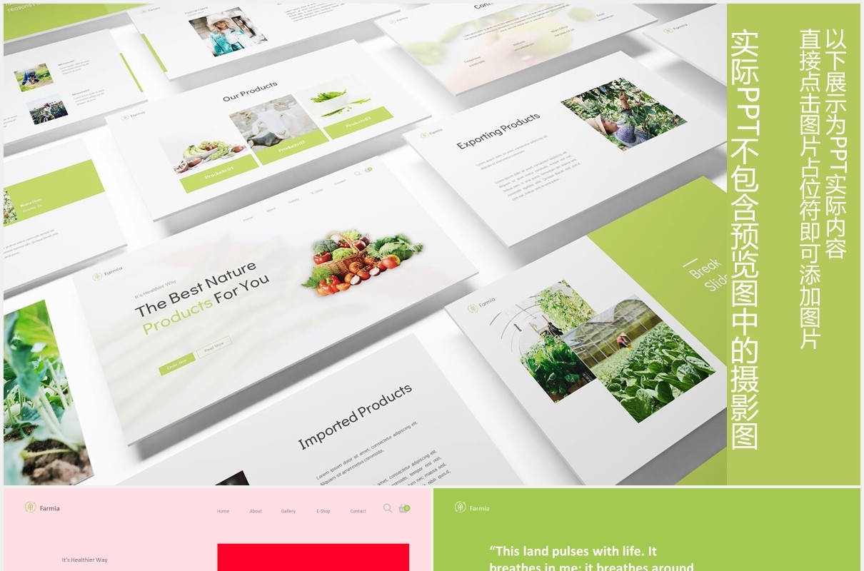 农业图片排版设计PPT模板Farming Powerpoint Template
