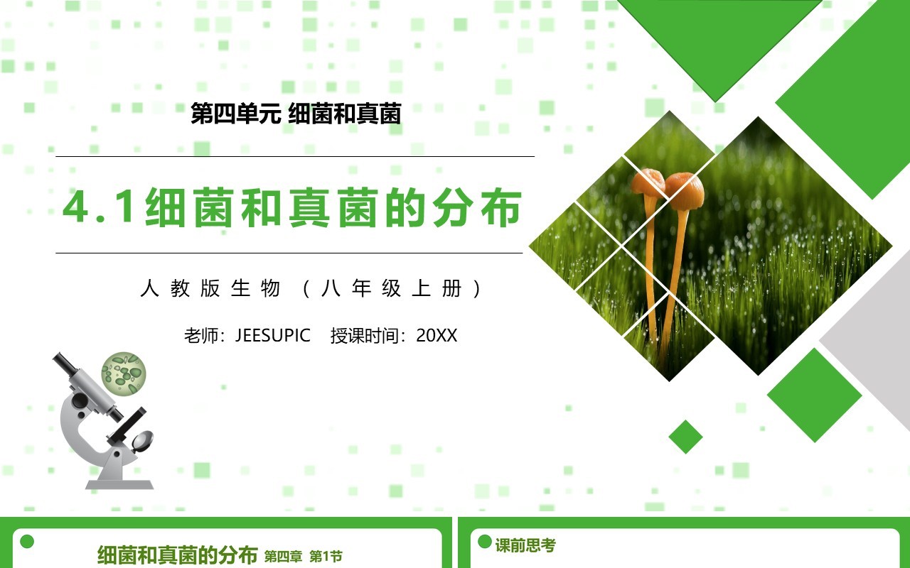 部编版八年级生物上册细菌和真菌的分布PPT模板