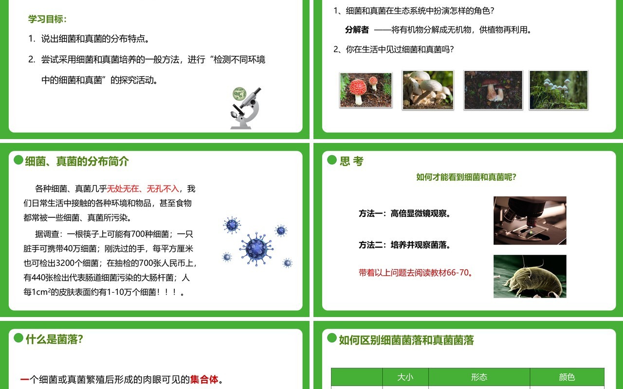 部编版八年级生物上册细菌和真菌的分布PPT模板